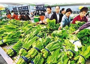 春節(jié)前菜市場探秘 蔬菜、水產(chǎn)、肉類價格與供應(yīng)全解析