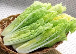 京東進軍蔬菜領(lǐng)域 重塑品質(zhì)標(biāo)準(zhǔn)，超越有機蔬菜的革新之路